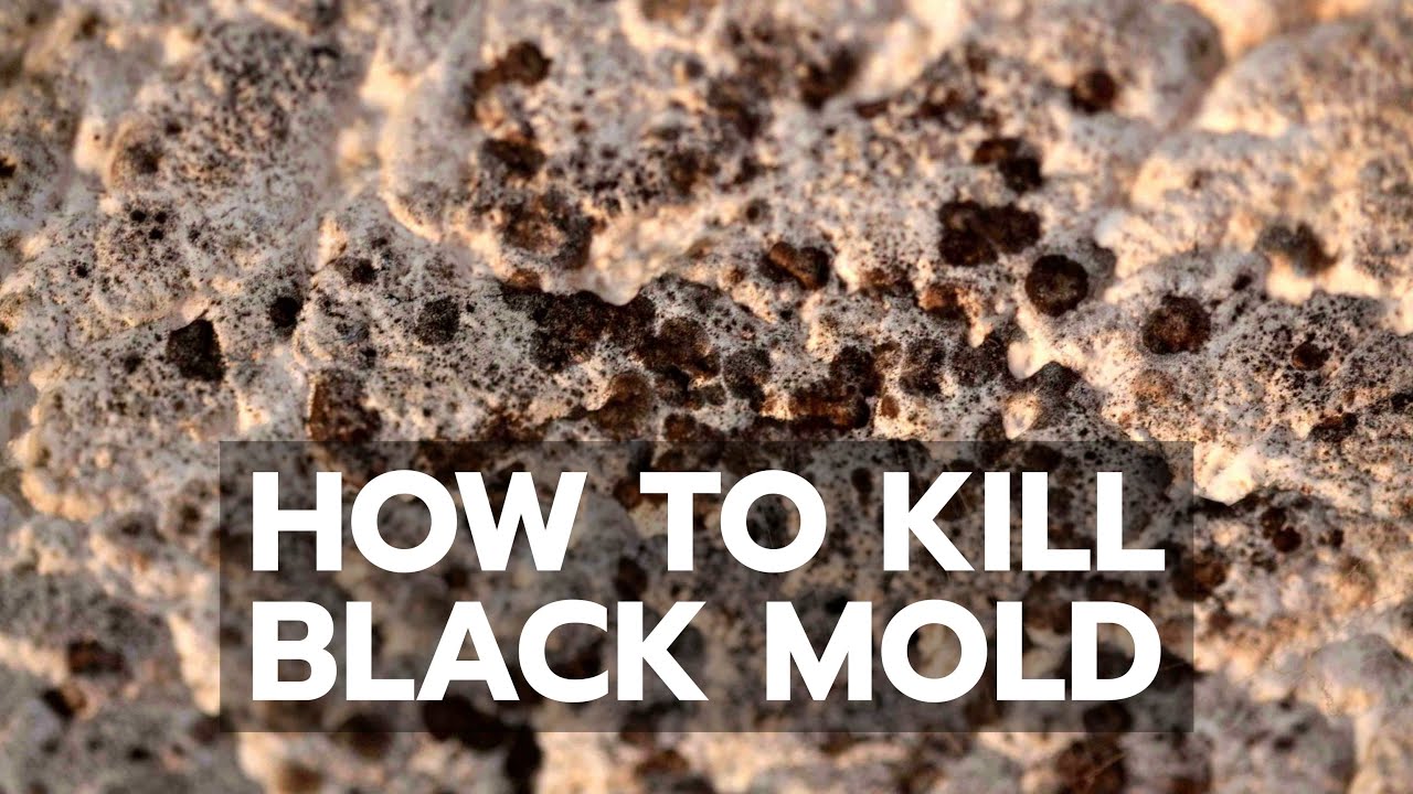 Removing black mold with vinegar