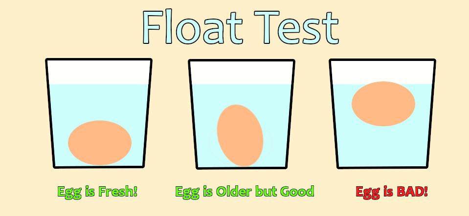 Checking Eggs Freshness