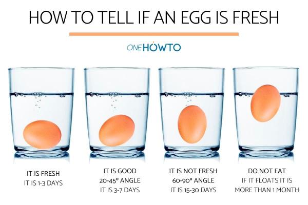 Egg Visual Inspection