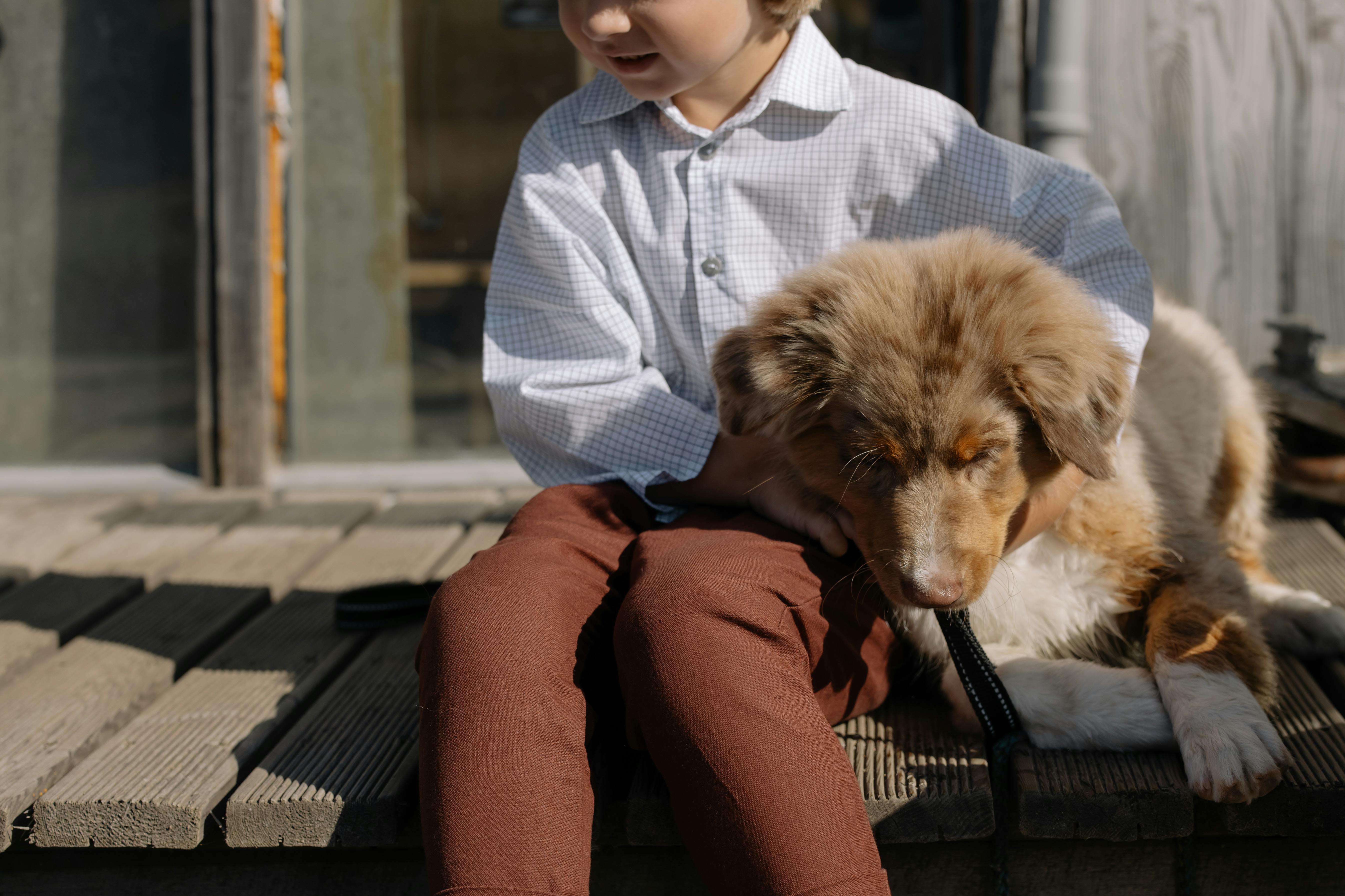 Calming a Panting Dog